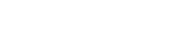 Logo Annas Golden Photography, Kunde von Media NG (SEO Plauen)